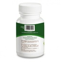 Capsulas viverde 100 pzas (Sabia madre tierra)