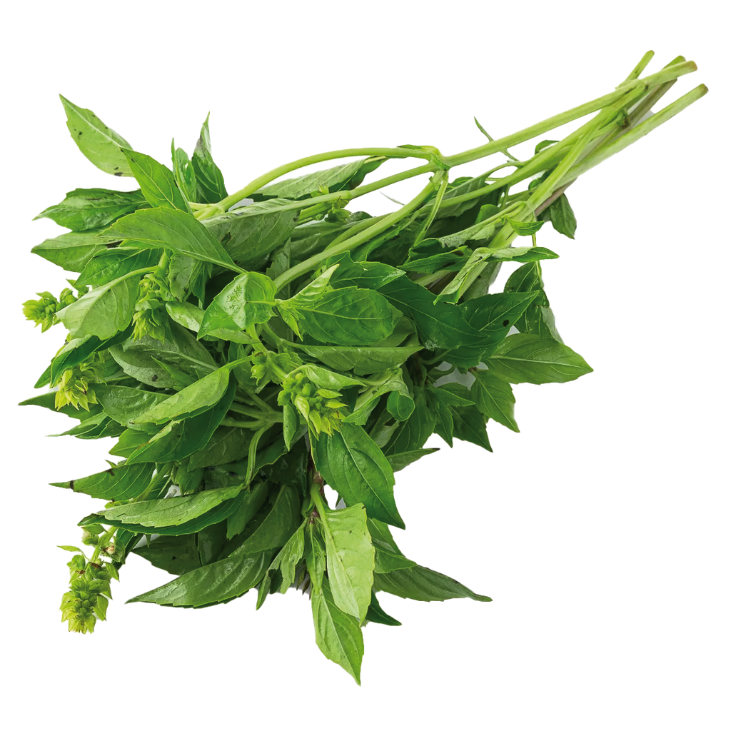 Albahaca 100gr (Tío Orgánico)
