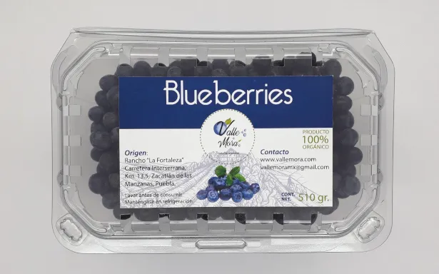 [arandano] Arandanos Organicos 500g (Zacatlán)