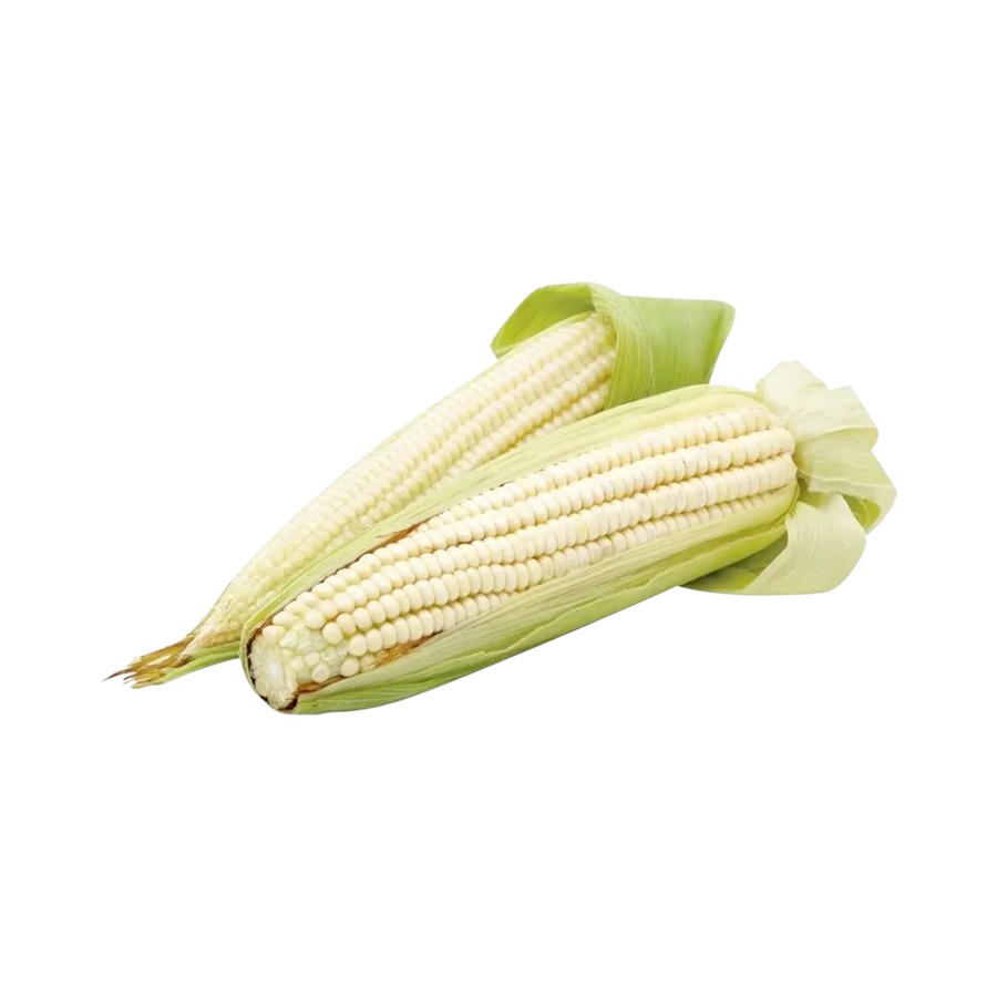 Elote Blanco Org pieza