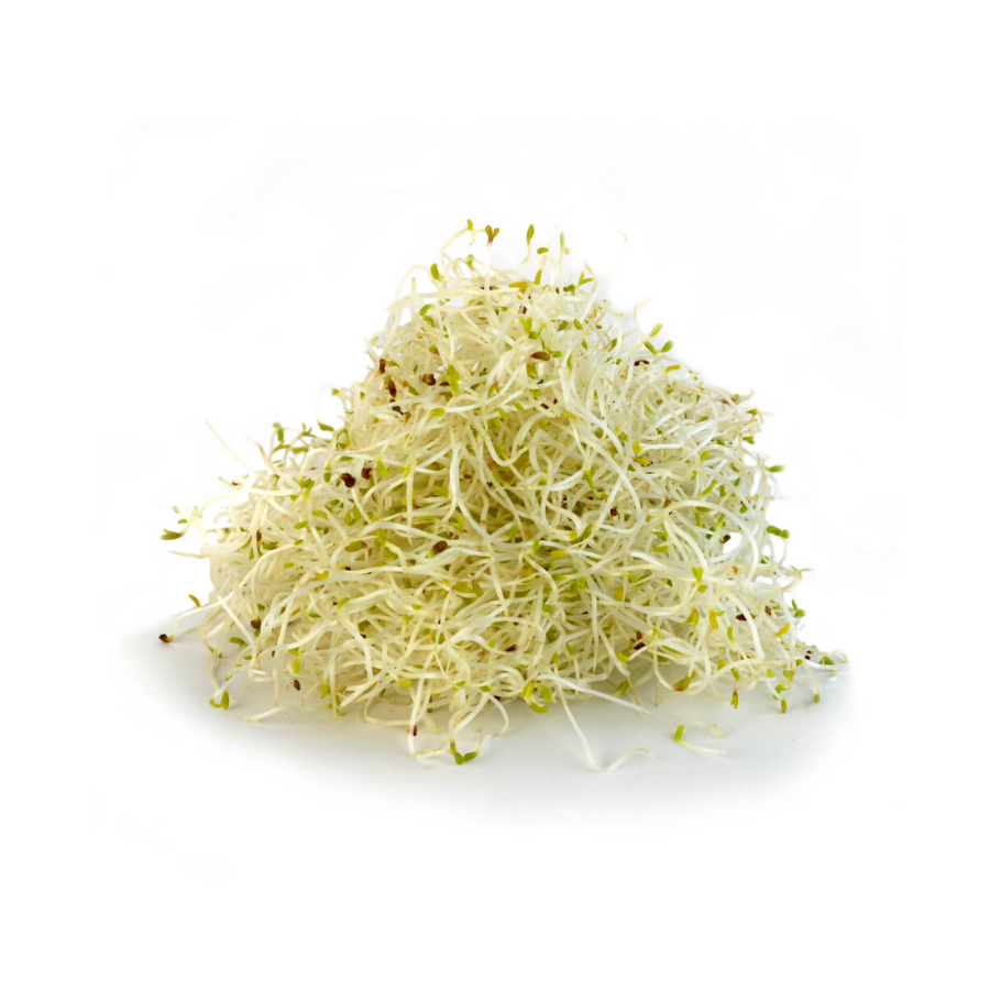 [germinadodealfalfa] Germinado de alfalfa 100gr (Cocotla)