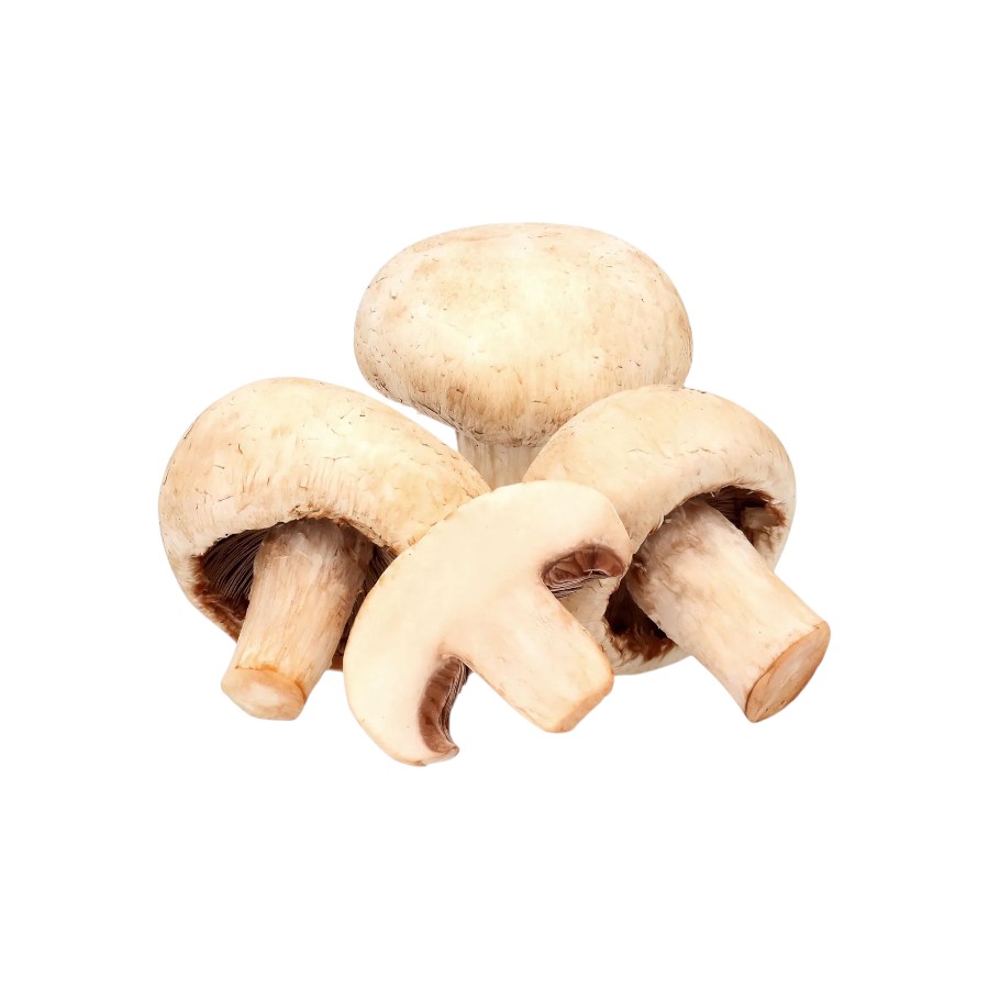 [champiñon] Champiñón Org Kg