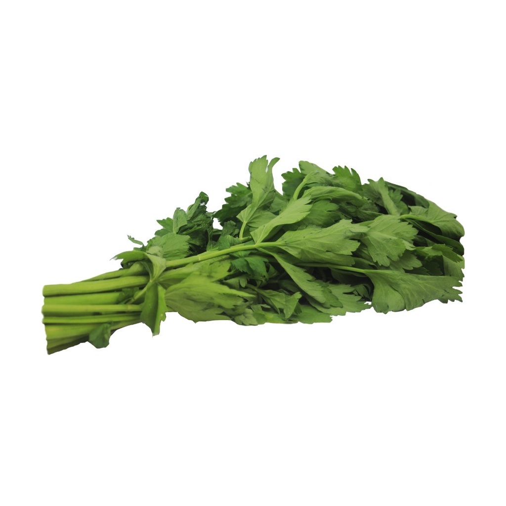 [010] Apio organico KG