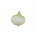 Cebolla organica kg