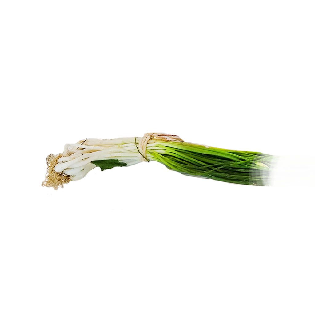 Cebollin organico 100g (El Tio Organico)