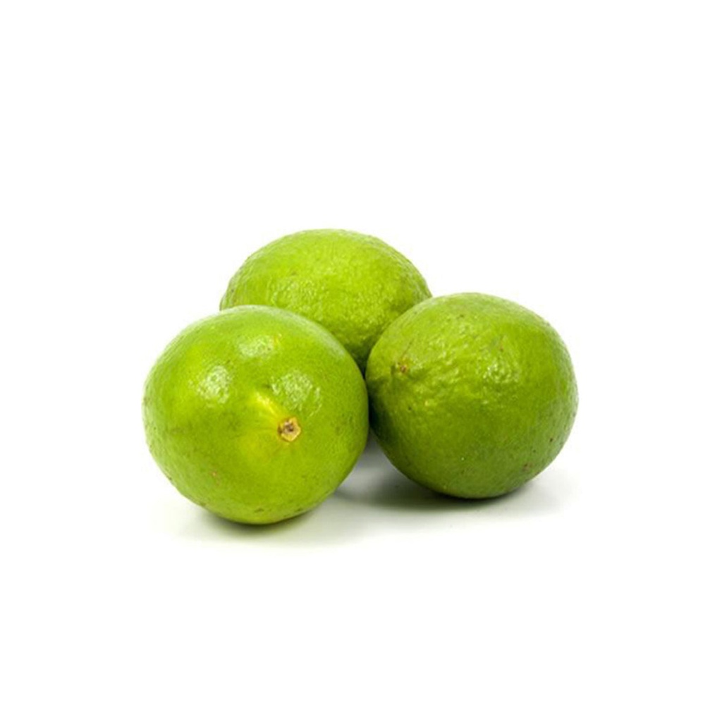 [124] Limon Persa KG