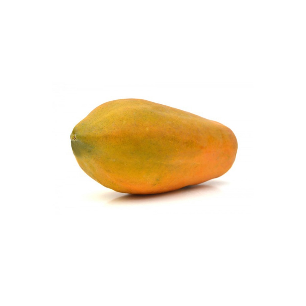 [146] Papaya KG