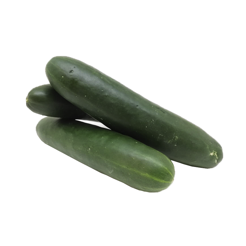 Pepino Organico kg