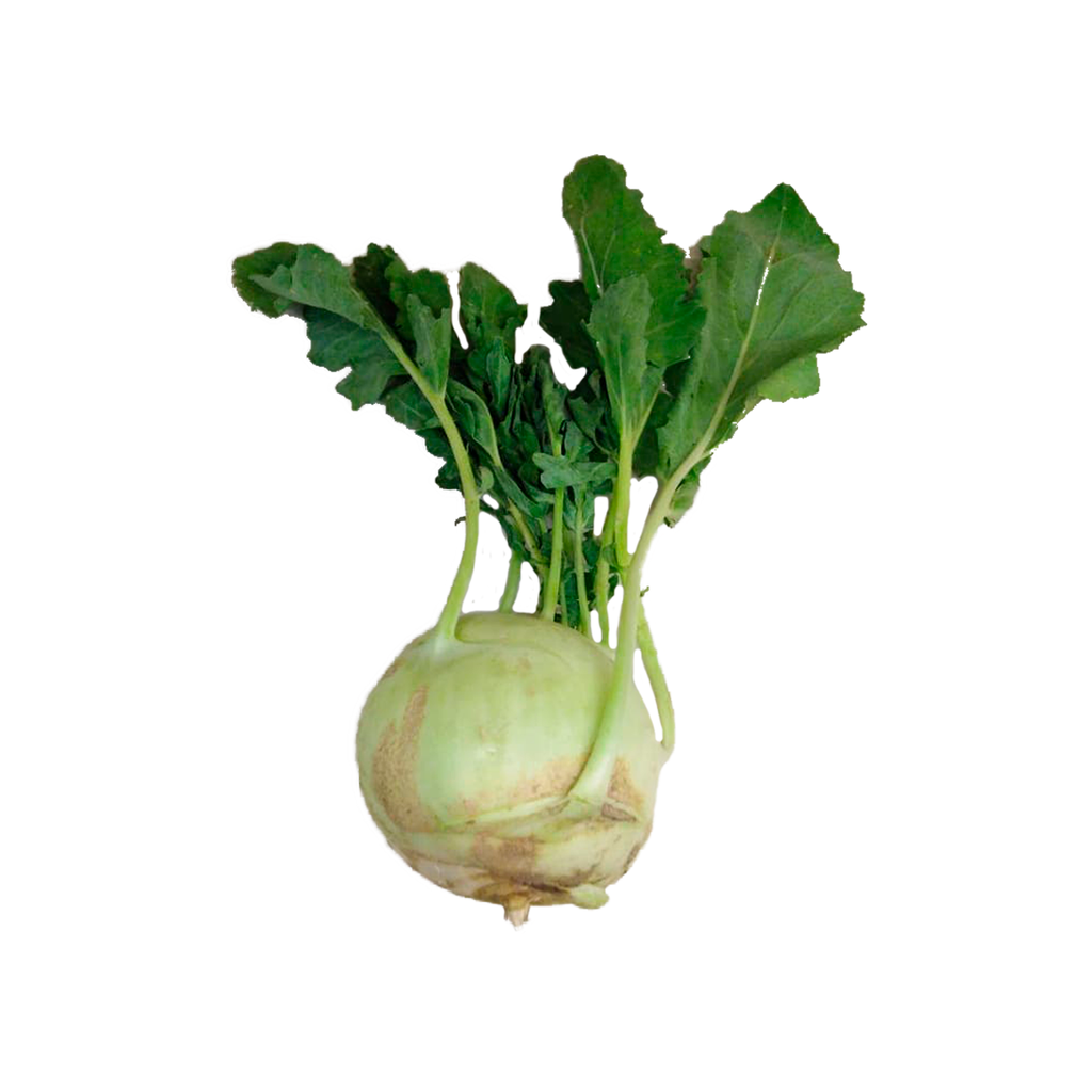 [067] Colinabo KG (Loma bonita)