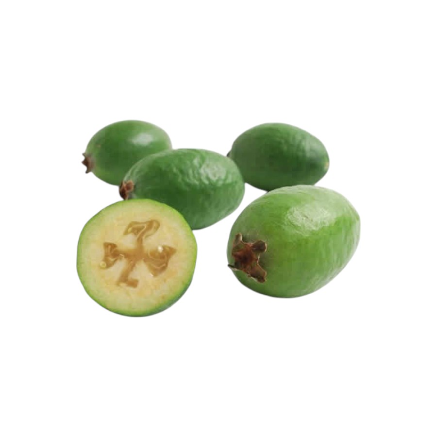 Feijoa Organica KG