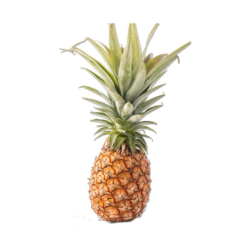 Piña orgánica Pieza