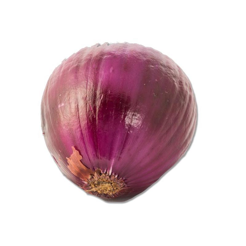 Cebolla morada organica KG