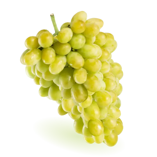 [108164260118] Uva Verde (Divine Flavor)