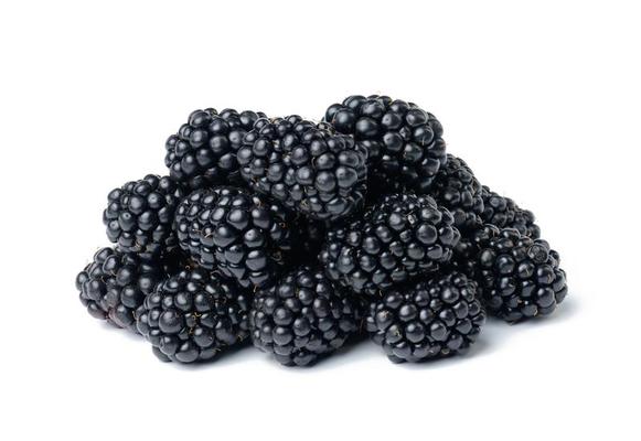 Zarzamora Orgánica 170 g (Luz de Sabor)