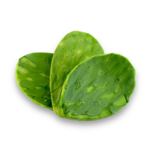 [nopalpieza] Nopal pza