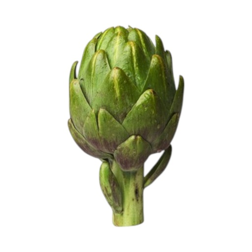 [alcachofa] Alcachofa pz 