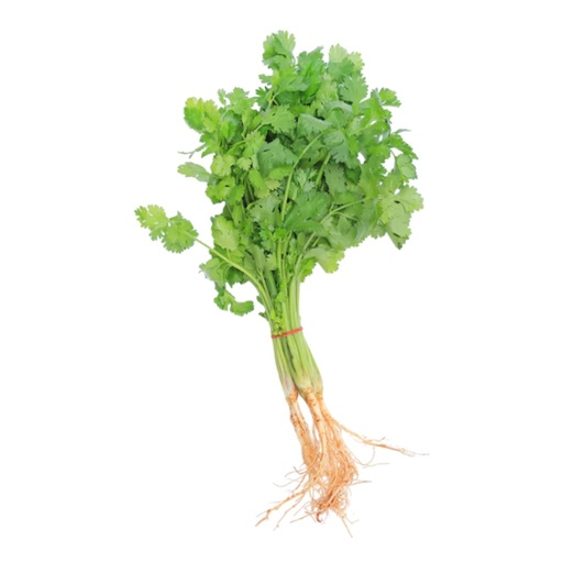 [059] Cilantro orgánico 100g