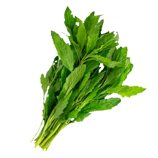 [077] Epazote organico manojo