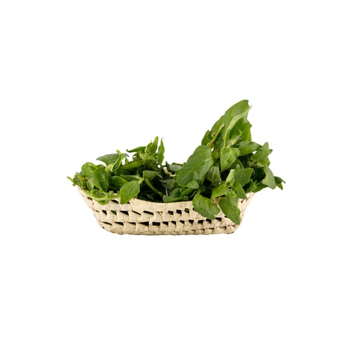 [082] Espinaca nueva zelanda mj (Loma Bonita)