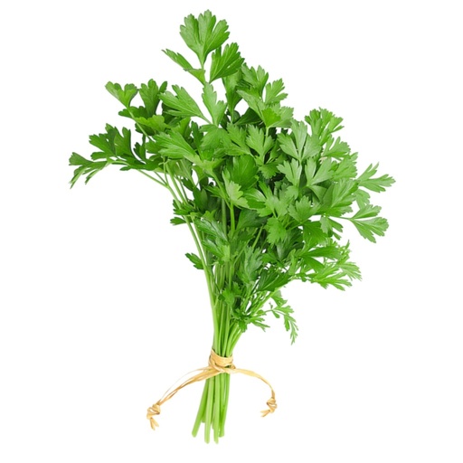 [cilantro] Perejil mjo