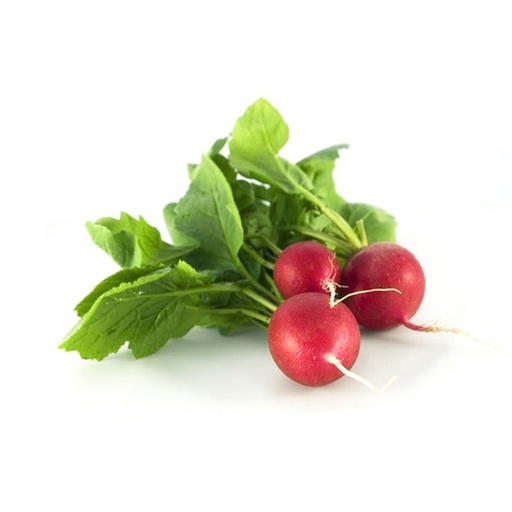 [181] Rábano mj (Loma bonita)