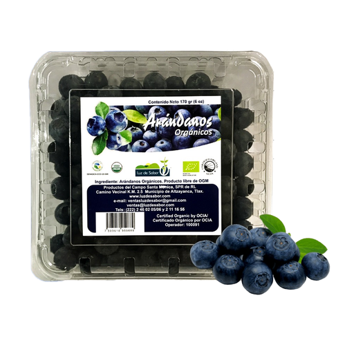 [7503018959689] Arandanos Orgánicos 170g (Luz de sabor)