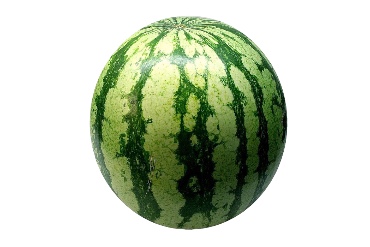 [192] Sandia kg (copia)